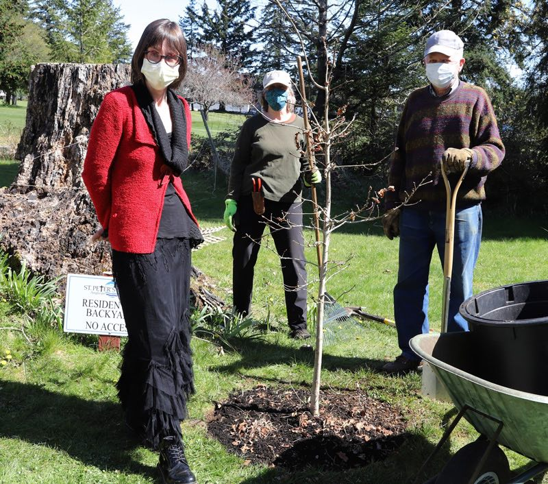 Tree planting