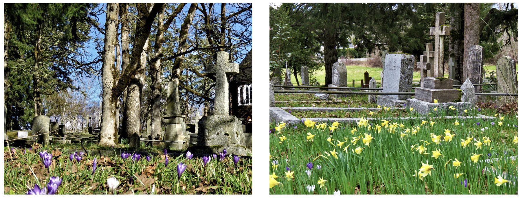 Flowers in a cemetary